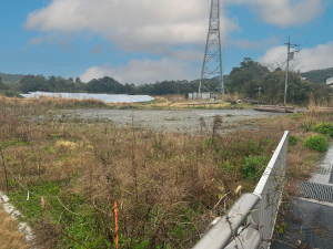 勝浦市上植野、土地の画像です