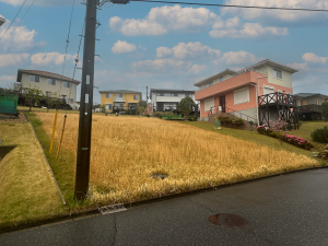 勝浦市興津久保山台、土地の画像です