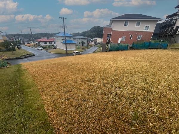 勝浦市興津久保山台、土地の画像です