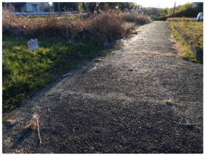 いすみ市岬町、土地の画像です