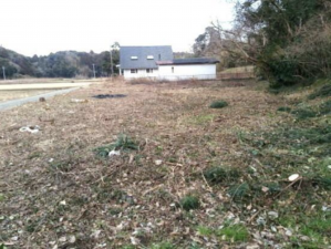 長生郡睦沢町寺崎、土地の画像です