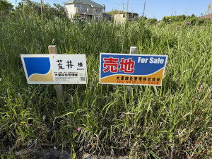 長生郡睦沢町川島、土地の画像です