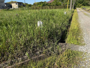 長生郡睦沢町川島、土地の画像です