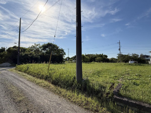 長生郡睦沢町川島、土地の画像です