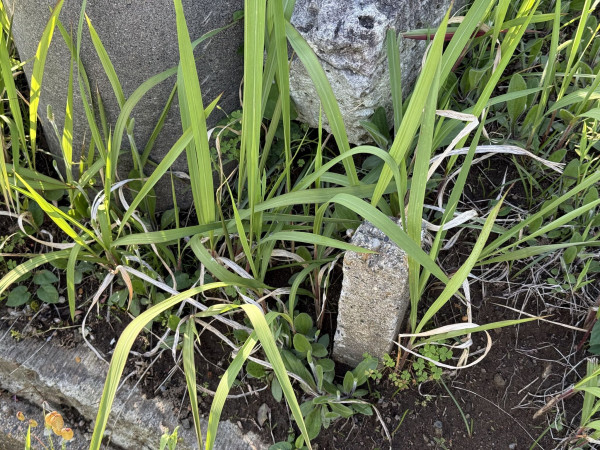 長生郡睦沢町川島、土地の画像です