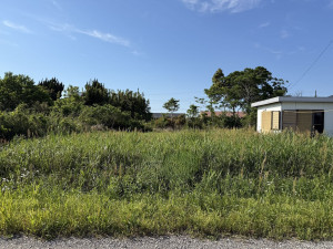 長生郡睦沢町川島、土地の画像です