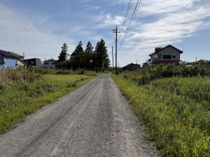 長生郡睦沢町川島、土地の画像です