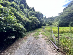 長生郡睦沢町大上、土地の画像です