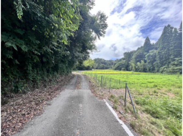 長生郡睦沢町大上、土地の画像です