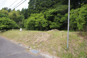 長生郡睦沢町妙楽寺、土地の画像です