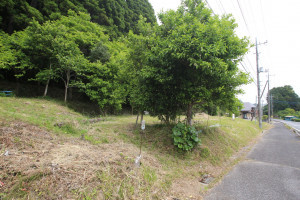長生郡睦沢町妙楽寺、土地の画像です