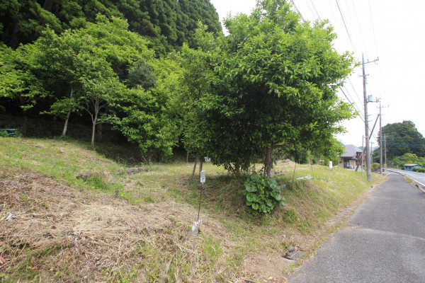 長生郡睦沢町妙楽寺、土地の画像です