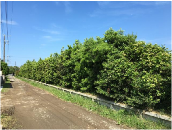 長生郡睦沢町川島、土地の画像です