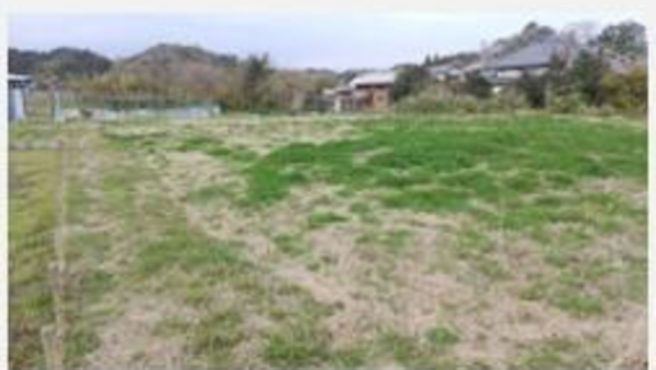 長生郡長南町小沢、土地の画像です