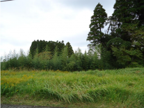 いすみ市山田、土地の画像です