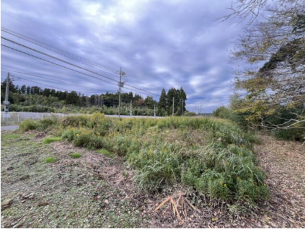 いすみ市山田、土地の画像です