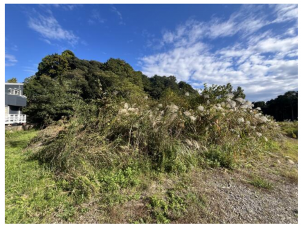 いすみ市岬町、土地の画像です