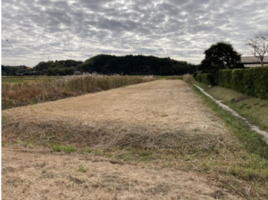 いすみ市下布施、土地の画像です