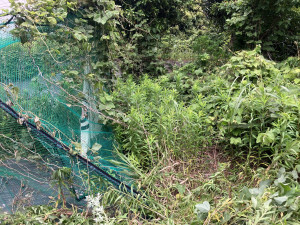 いすみ市岬町、土地の画像です