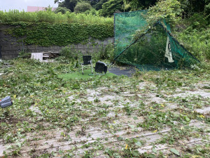 いすみ市岬町、土地の画像です