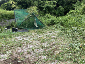 いすみ市岬町、土地の画像です