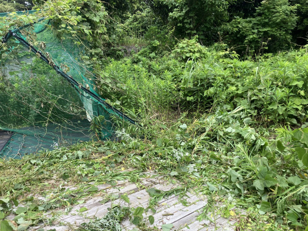 いすみ市岬町、土地の画像です