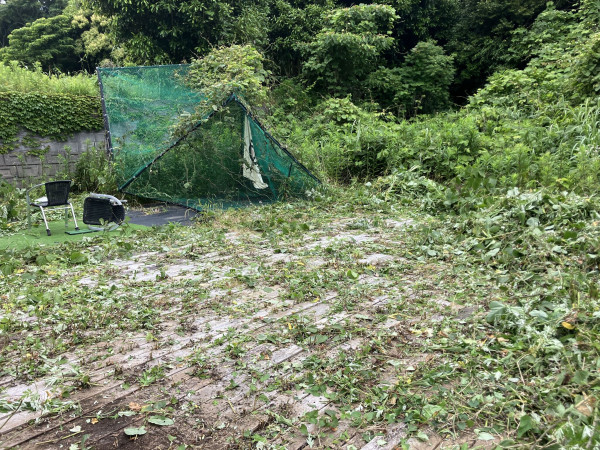 いすみ市岬町、土地の画像です