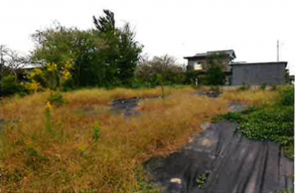 長生郡睦沢町川島、土地の画像です