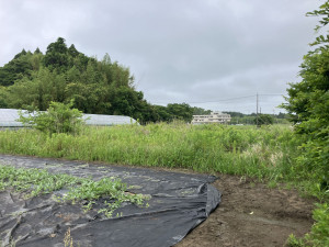 いすみ市岬町、土地の画像です