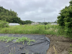 いすみ市岬町、土地の画像です