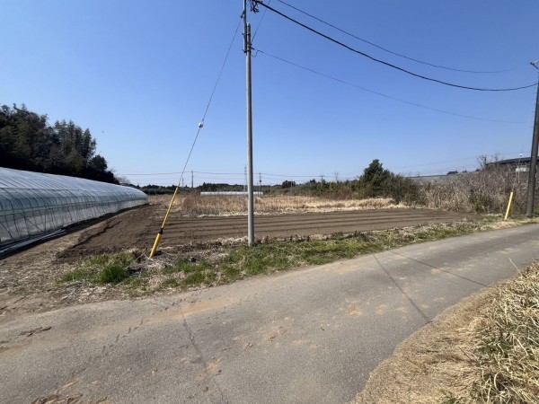 いすみ市岬町、土地の画像です