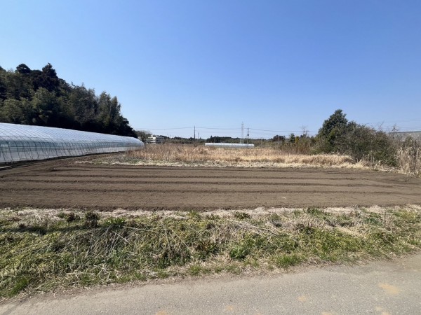 いすみ市岬町、土地の画像です