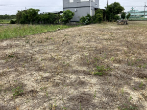 いすみ市岬町、土地の画像です