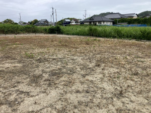 いすみ市岬町、土地の画像です