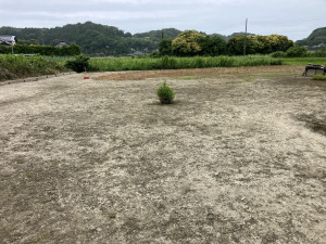 いすみ市岬町、土地の画像です