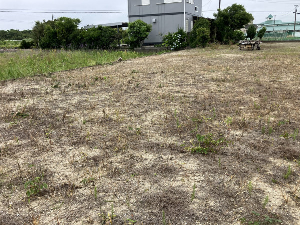 いすみ市岬町、土地の画像です