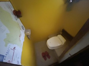 勝浦市鵜原、土地のトイレ画像です