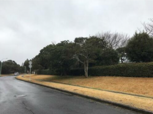 いすみ市大原台、土地の画像です