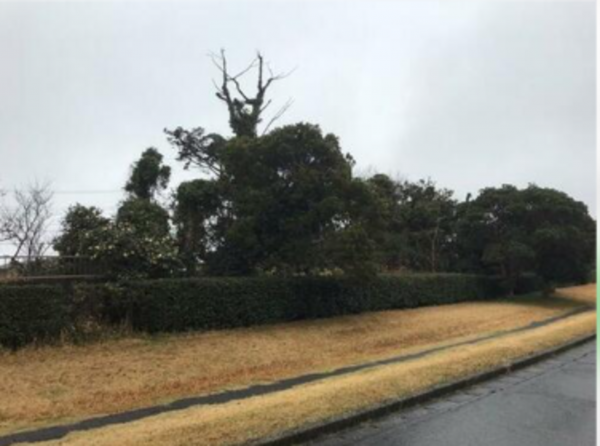 いすみ市大原台、土地の画像です