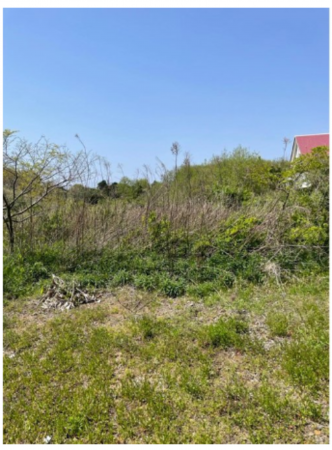 いすみ市新田、土地の画像です
