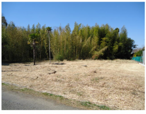 いすみ市岬町、土地の画像です