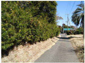 いすみ市岬町、土地の画像です