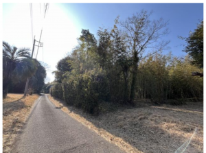 いすみ市岬町、土地の画像です
