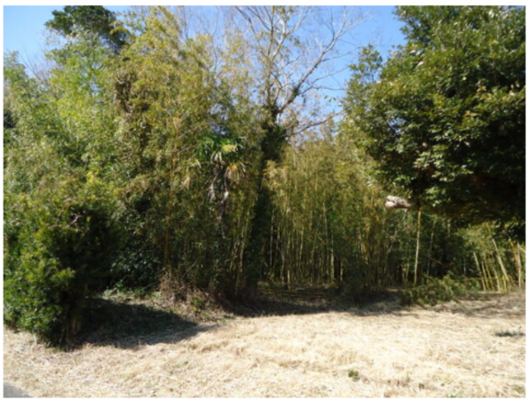 いすみ市岬町、土地の画像です