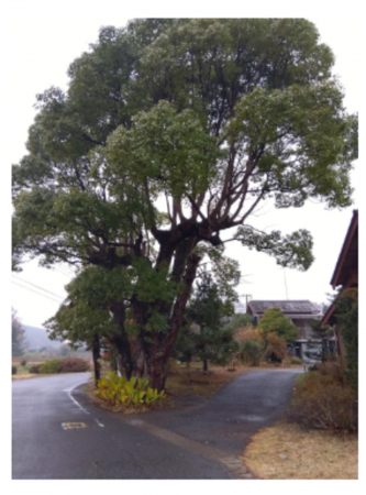 いすみ市高谷、中古一戸建ての画像です