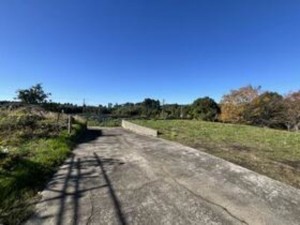 いすみ市小高、土地の画像です