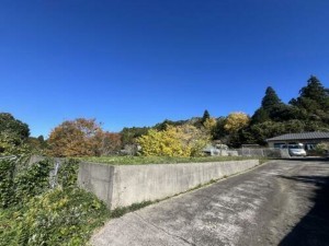 いすみ市小高、土地の画像です