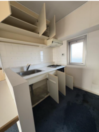 勝浦市沢倉、マンションのキッチン画像です