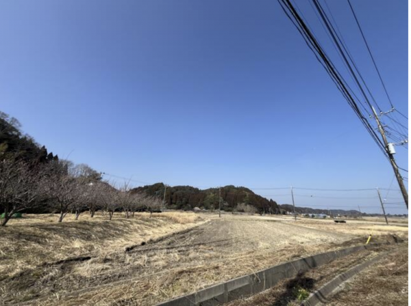 いすみ市新田、土地の画像です