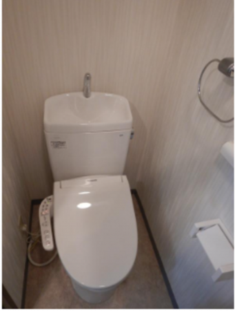 勝浦市部原、マンションのトイレ画像です